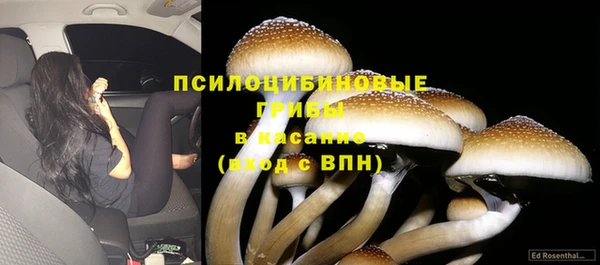 мяу мяу кристалл Аркадак